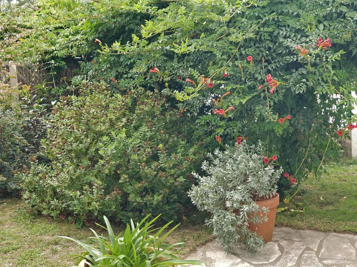 T1 Ou T2 Dans Villa Avec Jardin Proche Biarritz Anglet Exterior foto